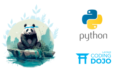 ¿Qué es Pandas de Python? Guía para principiantes